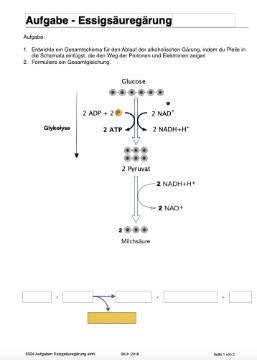 Energiequellen Teil 1 - komplett (Einzellizenz)