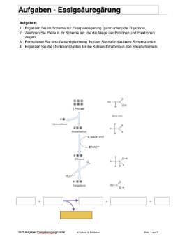 Energiequellen Teil 1 - komplett (Einzellizenz)