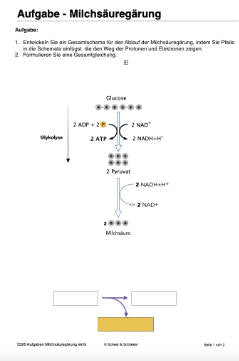 Energiequellen Teil 1 - komplett (Einzellizenz)