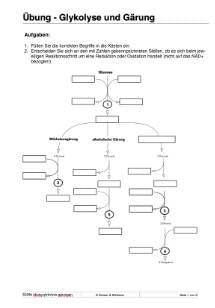 Energiequellen Teil 1 - komplett (Einzellizenz)