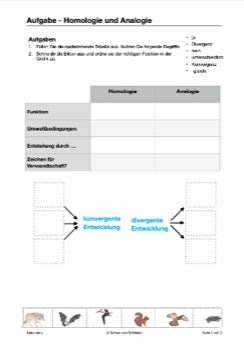 Evoultion als historischer Prozess - Belege für die Evolution (109 MB)