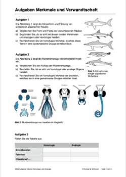 Evoultion als historischer Prozess - Belege für die Evolution (109 MB)