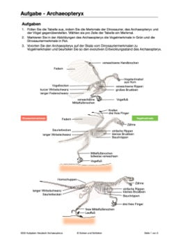 Evoultion als historischer Prozess - Belege für die Evolution (109 MB)