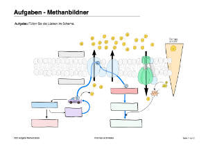 Energiequellen Teil 1 - komplett (Einzellizenz)