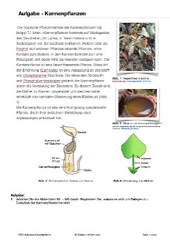 Evoultion als historischer Prozess - Belege für die Evolution (109 MB)