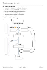 Energiequellen Teil 1 - komplett (Einzellizenz)