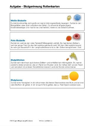 Blutbestandteile und Blutgerinnung (46 MB)