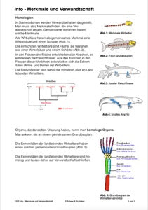 Evolution - komplett: Jahrgang 7 - 10 (600 MB)