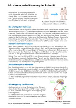 Sexualität Jahrgang 7 - 10 (343 MB)