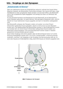 Nervensystem, Lernen und Gedächtnis: Jahrgang 7 - 10 (56 MB)