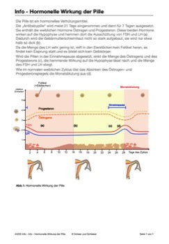 Hormonsystem Jahrgang 7 bis 10 (24 MB)