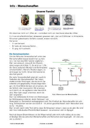 Evolution des Menschen: Jahrgang 7 - 10 (123 MB)