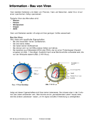 Gesundheit - Infektionen und gesunde Lebensführung (163 MB)