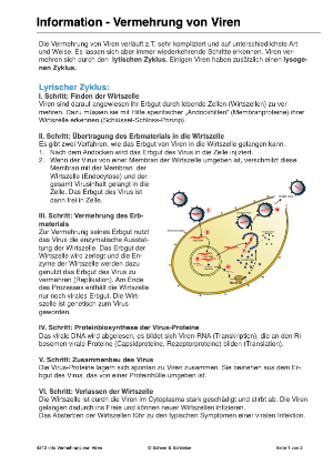 Infektionen - Immunsystem des Menschen (54 MB)