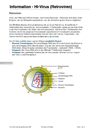 Infektionen - Immunsystem des Menschen (54 MB)