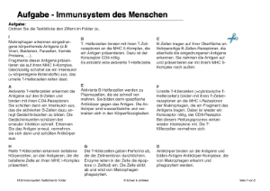 Infektionen - Immunsystem des Menschen (54 MB)