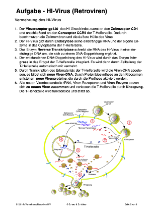 Gesundheit - Infektionen und gesunde Lebensführung (163 MB)