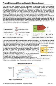 Einfluss des Menschen - Stoffkreisläufe und Energiefluss (33 MB)