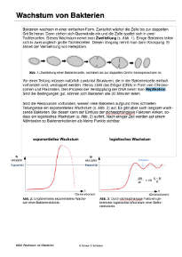 Die erste lebende Zelle (Einzellizenz)