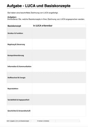 Prokaryoten (Einzellizenz) 77MB