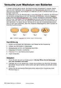 Die erste lebende Zelle (Einzellizenz)