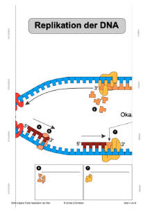 Prokaryoten (Einzellizenz) 77MB