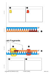 Prokaryoten (Einzellizenz) 77MB