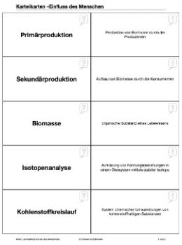 Einfluss des Menschen - Stoffkreisläufe und Energiefluss (33 MB)