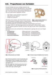 Evolution - komplett: Jahrgang 7 - 10 (600 MB)