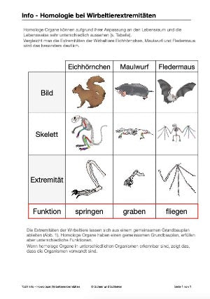 Stammbäume: Jahrgang 7 - 10 (160 MB)