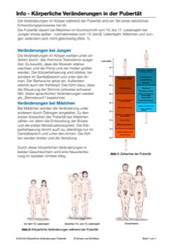 Sexualität Jahrgang 7 - 10 (343 MB)