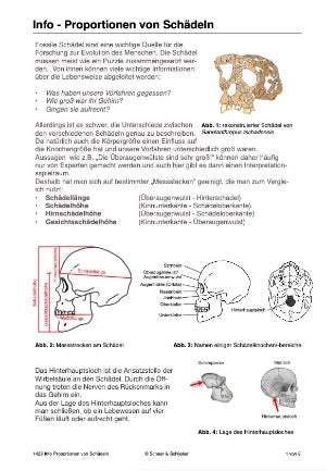 Evolution des Menschen: Jahrgang 7 - 10 (123 MB)