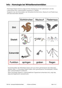 Evolution - komplett: Jahrgang 7 - 10 (600 MB)