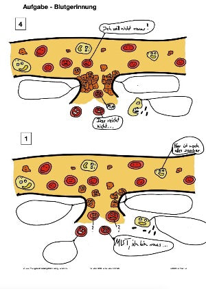 Blutbestandteile und Blutgerinnung (46 MB)