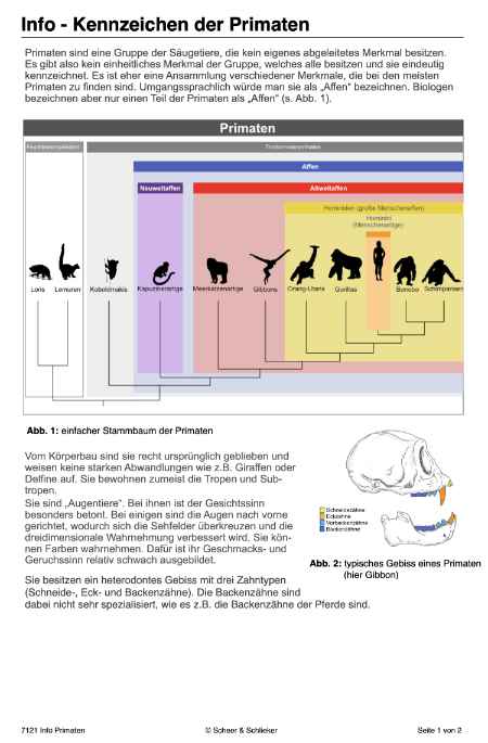 Evolution des Menschen (226 MB)