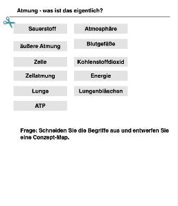 Fotosynthese und Zellatmung - Energiequellen Teil 2 - komplett (Einzellizenz)