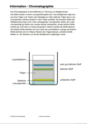 Fotosynthese