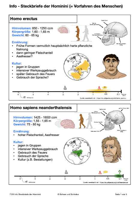 Evolution des Menschen (226 MB)