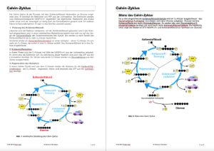 Fotosynthese