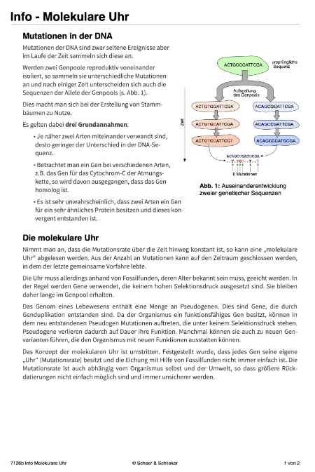 Evolution des Menschen (226 MB)