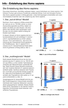 Stammbaum des Menschen (165 MB)