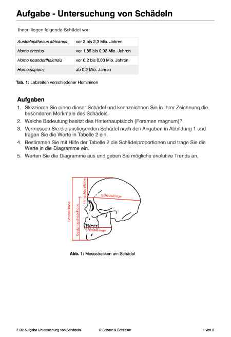 Evolution des Menschen (226 MB)