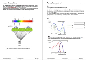 Fotosynthese