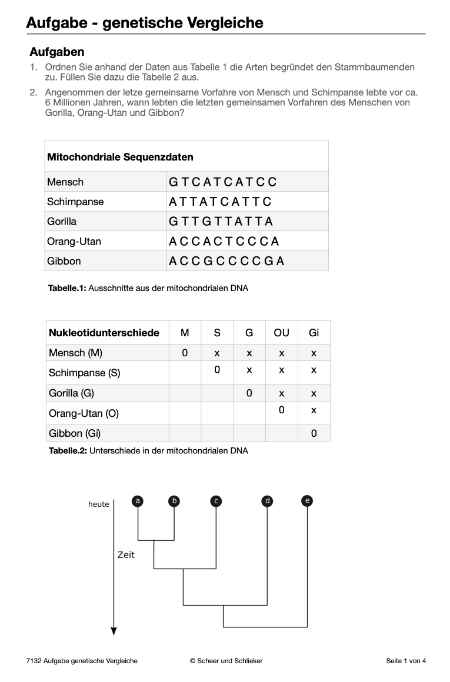 Evolution des Menschen (226 MB)