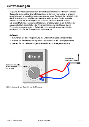 Fotosynthese