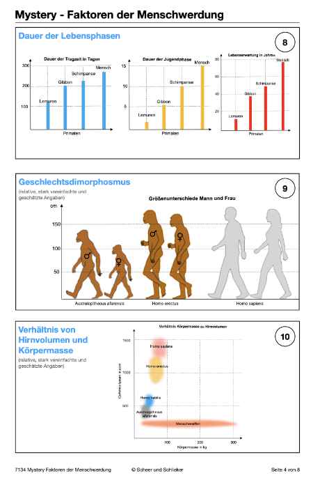 Evolution des Menschen (226 MB)