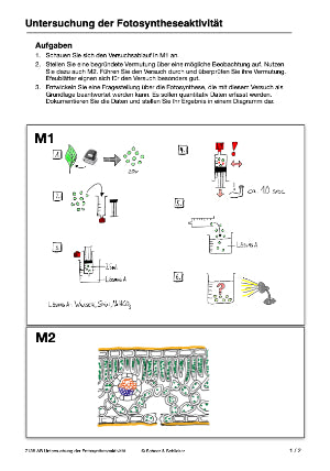 Fotosynthese