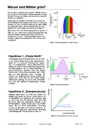 Fotosynthese