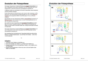 Fotosynthese