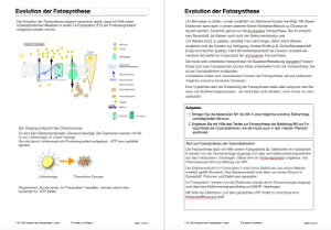 Fotosynthese